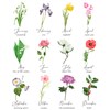 Birth Flower Chart