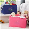 Pink & Navy Storage Totes