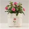 7x7 Canvas Planter Bag