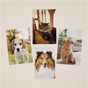 Pet Photo Personalized Set of 4 Replacement Panels - 48448-S