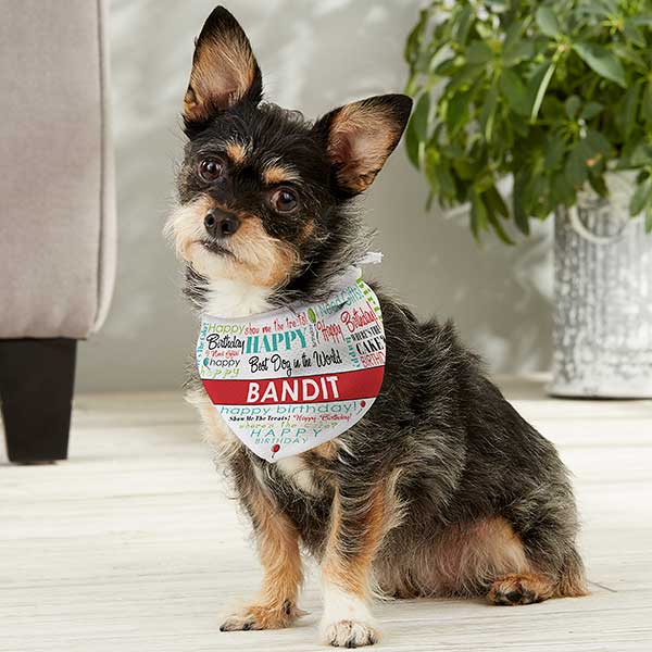 Personalized Dog Bandana - Happy Birthday - 12142
