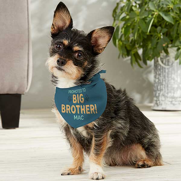 Promoted to Big Brother Personalized Dog Bandanas - 30262