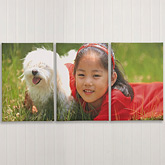 Split Panel Photo Canvas Prints - 3 Panels - 6878